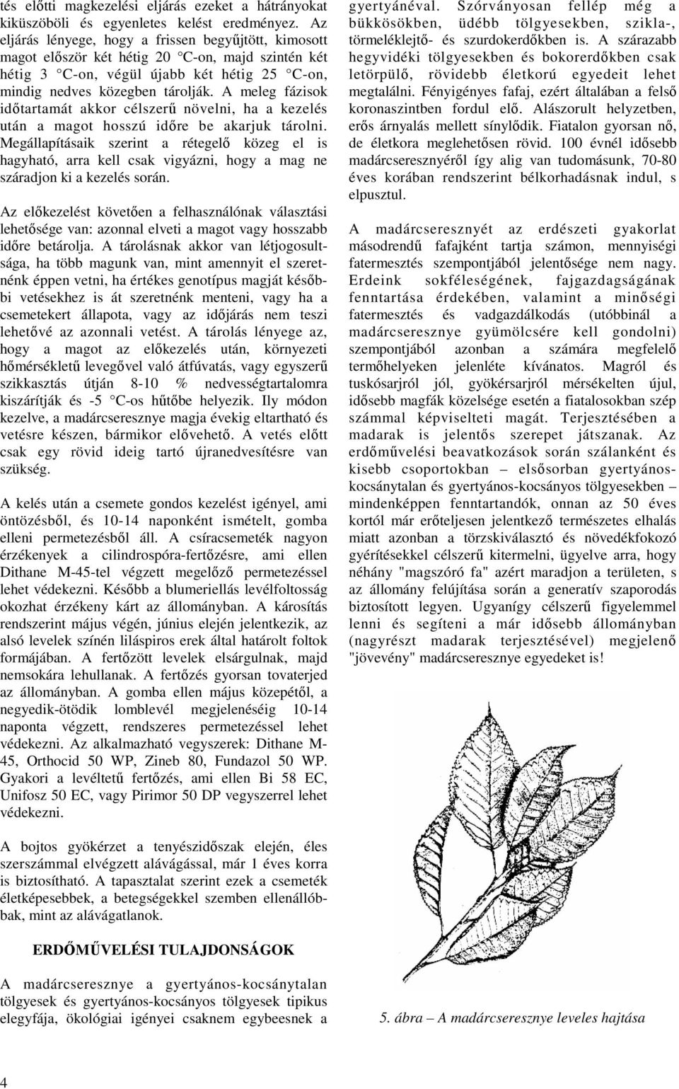 A meleg fázisok idıtartamát akkor célszerő növelni, ha a kezelés után a magot hosszú idıre be akarjuk tárolni.