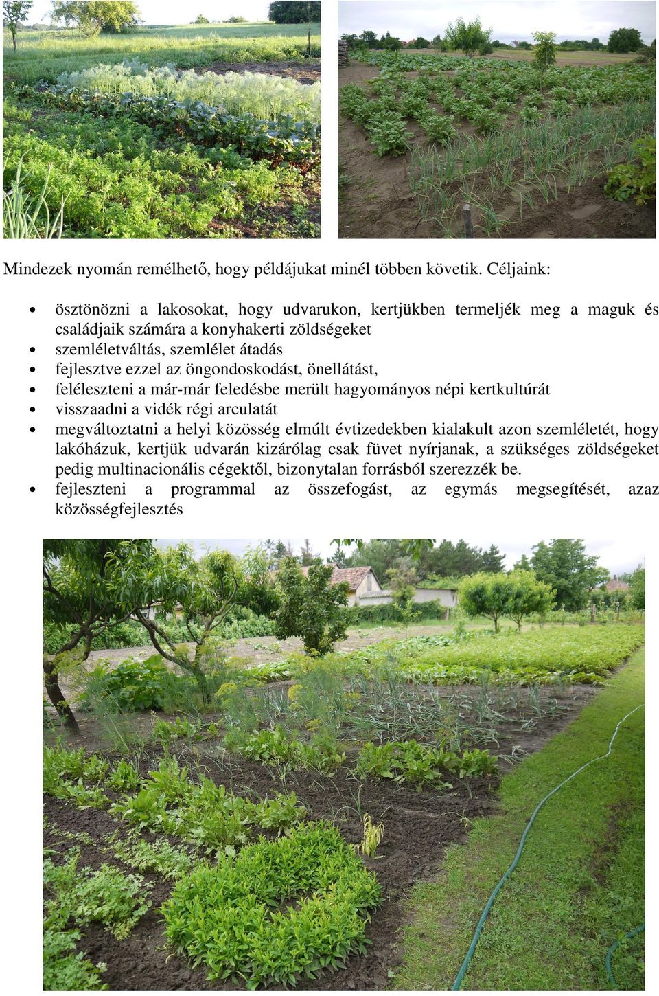 ezzel az öngondoskodást, önellátást, feléleszteni a már-már feledésbe merült hagyományos népi kertkultúrát visszaadni a vidék régi arculatát megváltoztatni a helyi közösség