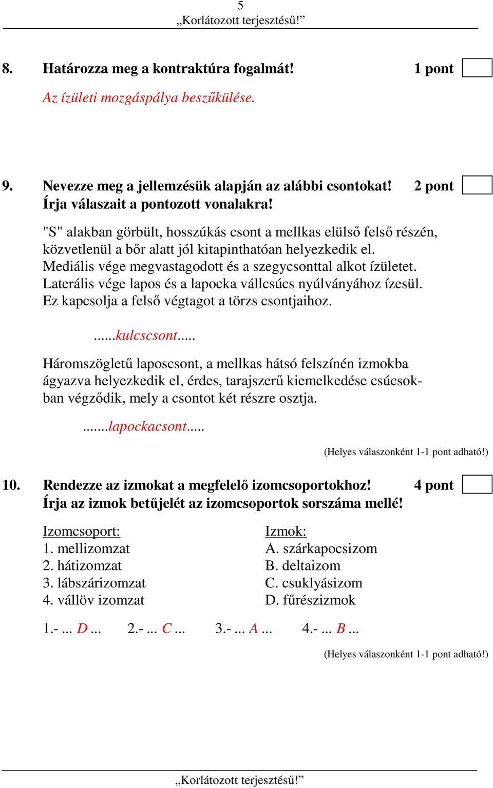 Laterális vége lapos és a lapocka vállcsúcs nyúlványához ízesül. Ez kapcsolja a felső végtagot a törzs csontjaihoz....kulcscsont.