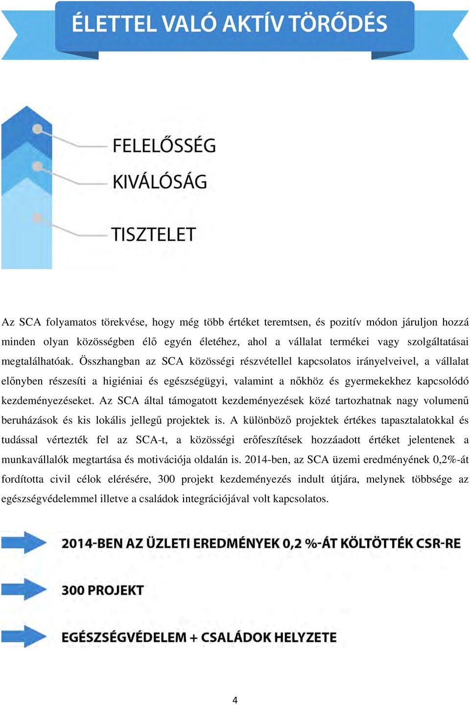 Az SCA által támogatott kezdeményezések közé tartozhatnak nagy volumenű beruházások és kis lokális jellegű projektek is.