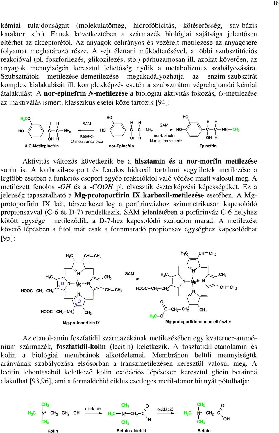 ) párhuzamosan ill. azokat követıen, az anyagok mennyiségén keresztül lehetıség nyílik a metabolizmus szabályozására.
