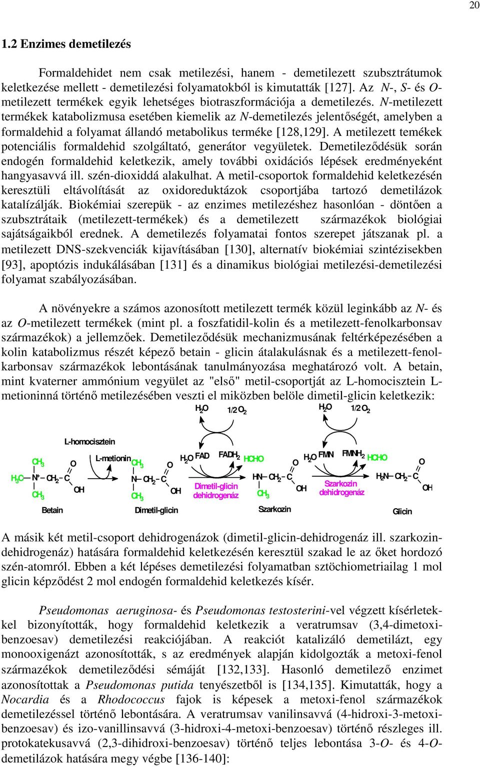 N-metilezett termékek katabolizmusa esetében kiemelik az N-demetilezés jelentıségét, amelyben a formaldehid a folyamat állandó metabolikus terméke [128,129].