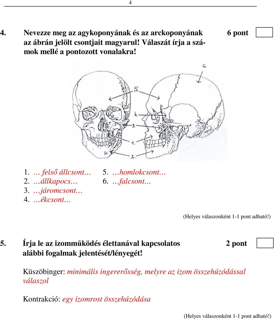 falcsont 3. járomcsont 4. ékcsont 5.