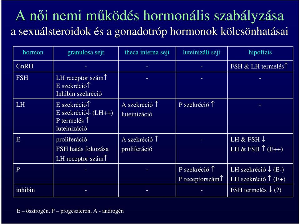 szekréció luteinizáció P szekréció E proliferáció FSH hatás fokozása A szekréció proliferáció LH & FSH LH & FSH (E++) LH receptor