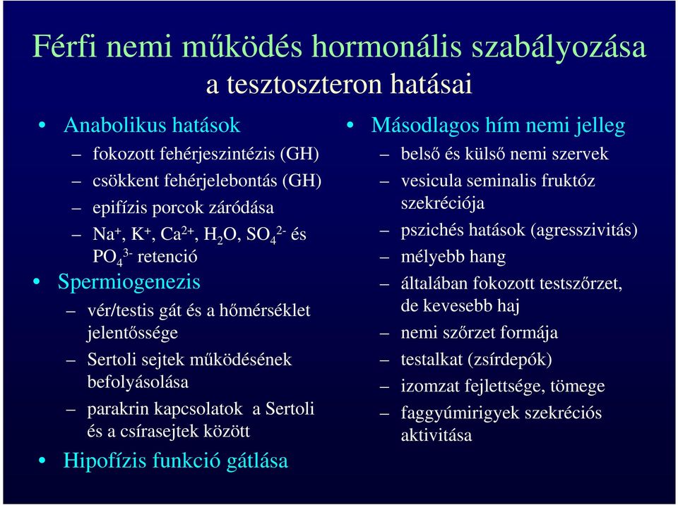 Sertoli és a csírasejtek között Hipofízis funkció gátlása Másodlagos hím nemi jelleg belső és külső nemi szervek vesicula seminalis fruktóz szekréciója pszichés hatások