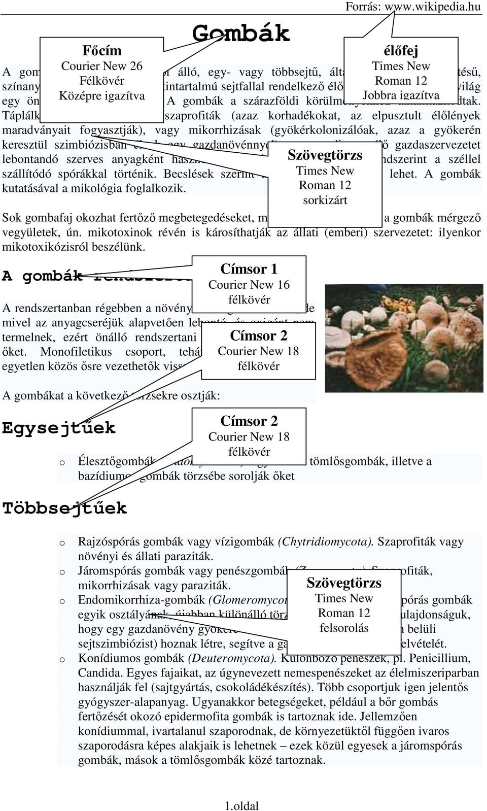 melyek 12 az élıvilág egy önálló Középre rszágát igazítva alktják. A gmbák a szárazföldi körülményekhez Jbbra alkalmazkdtak.