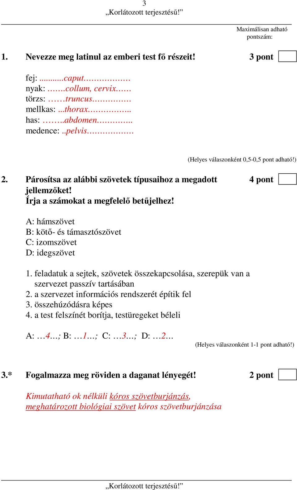 feladatuk a sejtek, szövetek összekapcsolása, szerepük van a szervezet passzív tartásában 2. a szervezet információs rendszerét építik fel 3. összehúzódásra képes 4.