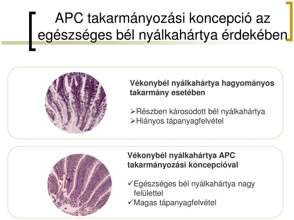 nyálkahártya Hiányos tápanyagfelvétel Vékonybél nyálkahártya APC