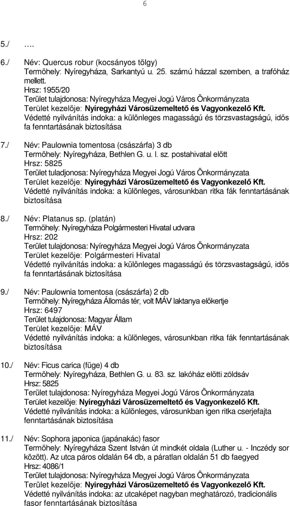 postahivatal előtt Hrsz: 5825 Terület tuladjonosa: Nyíregyháza Megyei Jogú Város Önkormányzata Védetté nyilvánítás indoka: a különleges, városunkban ritka fák fenntartásának 8./ Név: Platanus sp.