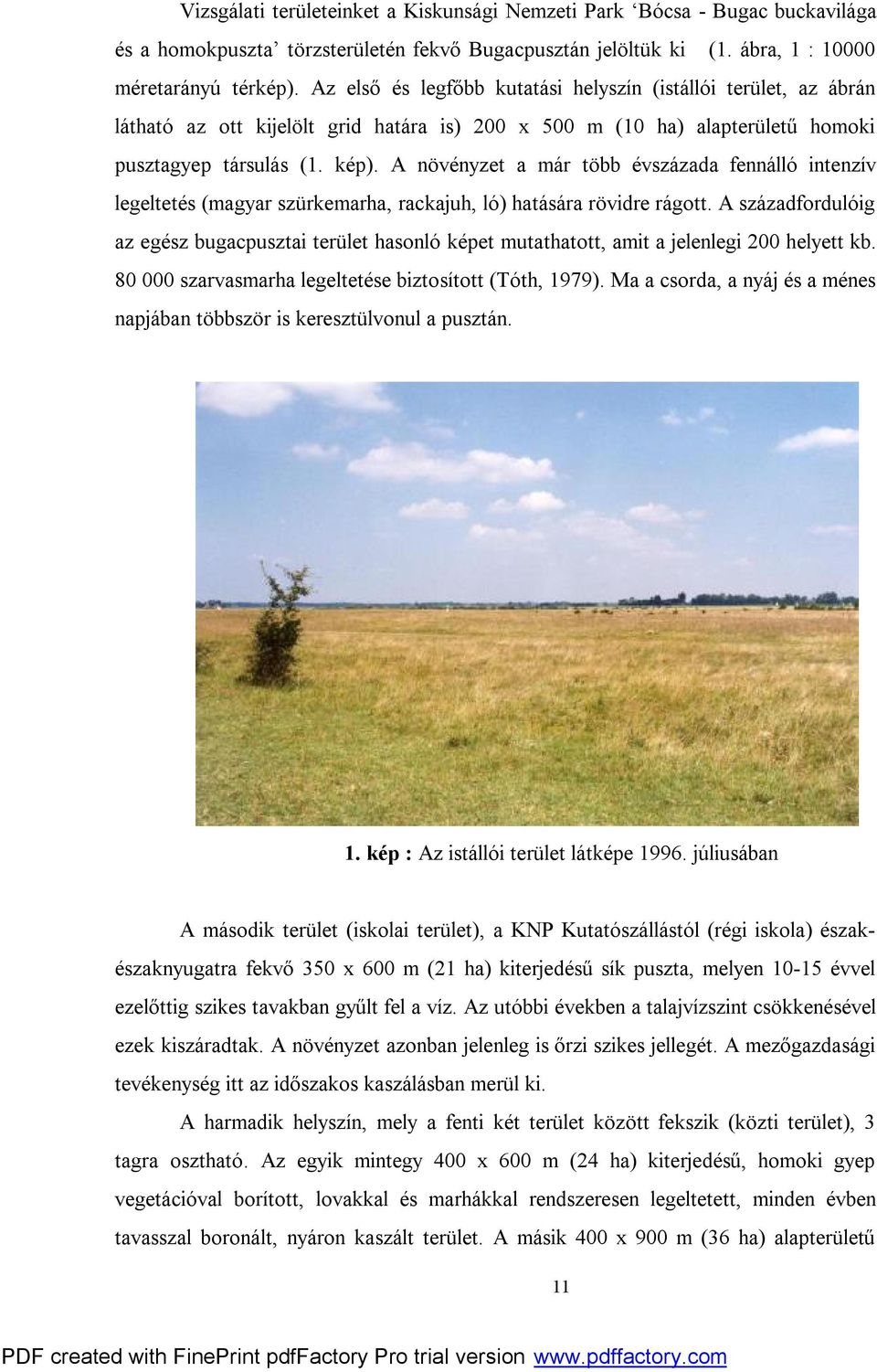 A növényzet a már több évszázada fennálló intenzív legeltetés (magyar szürkemarha, rackajuh, ló) hatására rövidre rágott.
