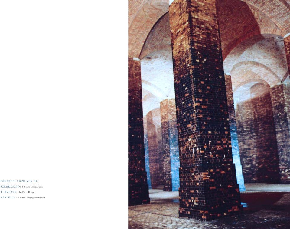 Zsuzsa TERVEZTE: Art Force