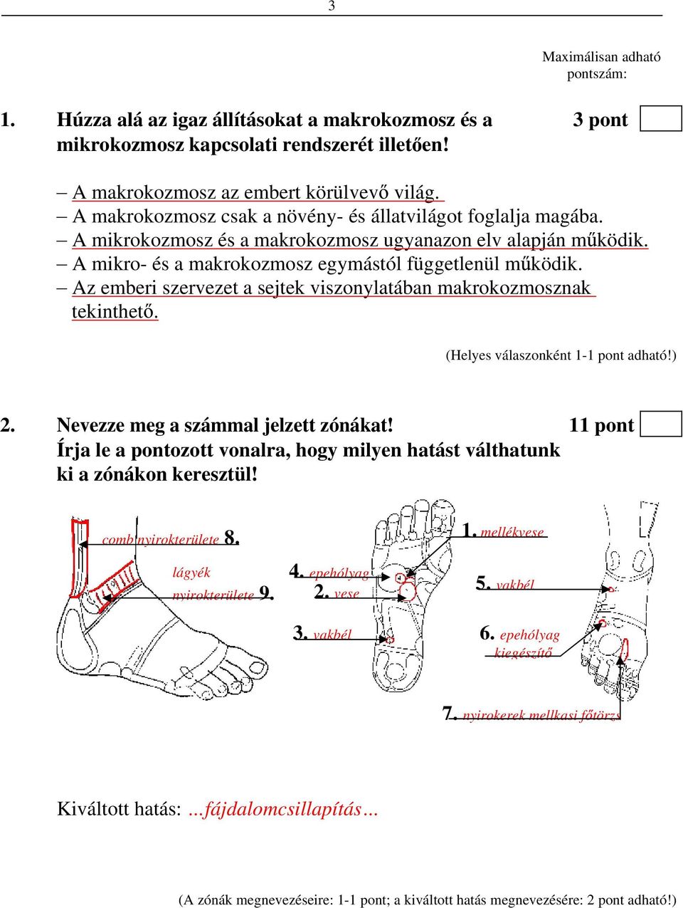 Az emberi szervezet a sejtek viszonylatában makrokozmosznak tekinthet. 2. Nevezze meg a számmal jelzett zónákat!