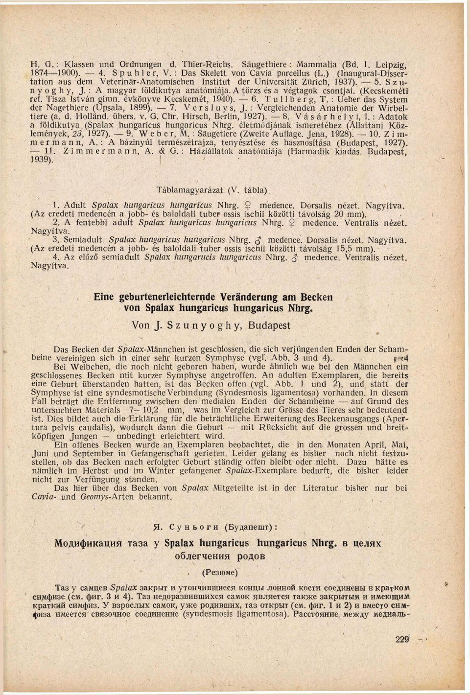 (Kecskeméti réf. Tisza István gimn. évkönyve Kecskemét, 1940). 6. T u 11 b e r g, T. : Lieber das System der Nagethiere (Upsala, 1899). 1. V e r s l u y s, J.