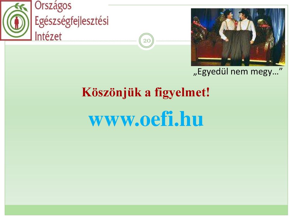 www.oefi.