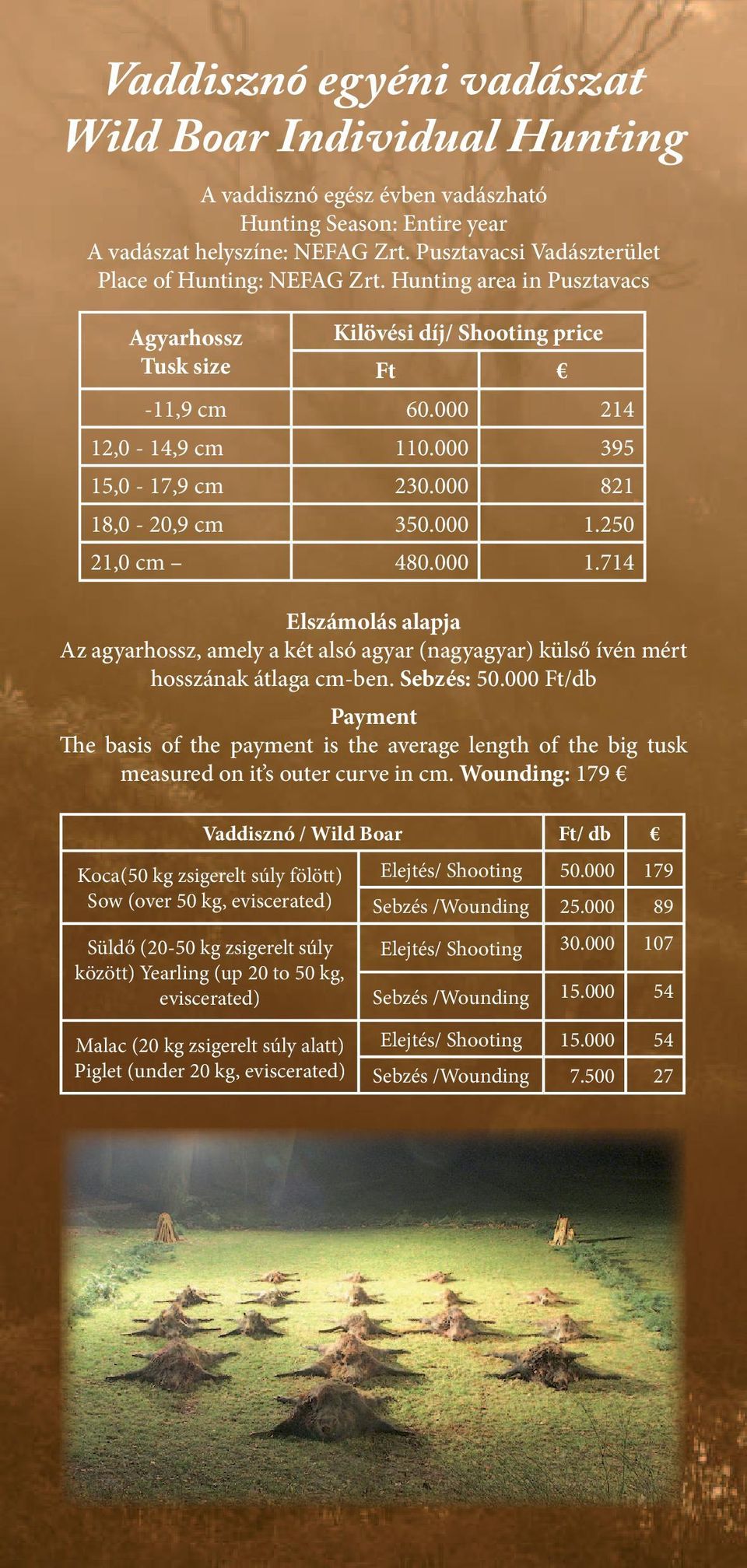 000 821 18,0-20,9 cm 350.000 1.250 21,0 cm 480.000 1.714 Elszámolás alapja Az agyarhossz, amely a két alsó agyar (nagyagyar) külső ívén mért hosszának átlaga cm-ben. Sebzés: 50.