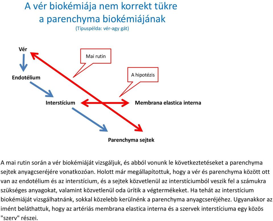 Holott már megállapítottuk, hogy a vér és parenchyma között ott van az endotélium és az interstícium, és a sejtek közvetlenül az interstíciumból veszik fel a számukra szükséges anyagokat, valamint