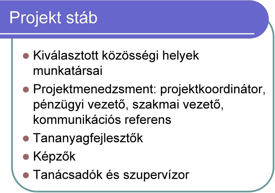 projektkoordinátor, pénzügyi vezető, szakmai