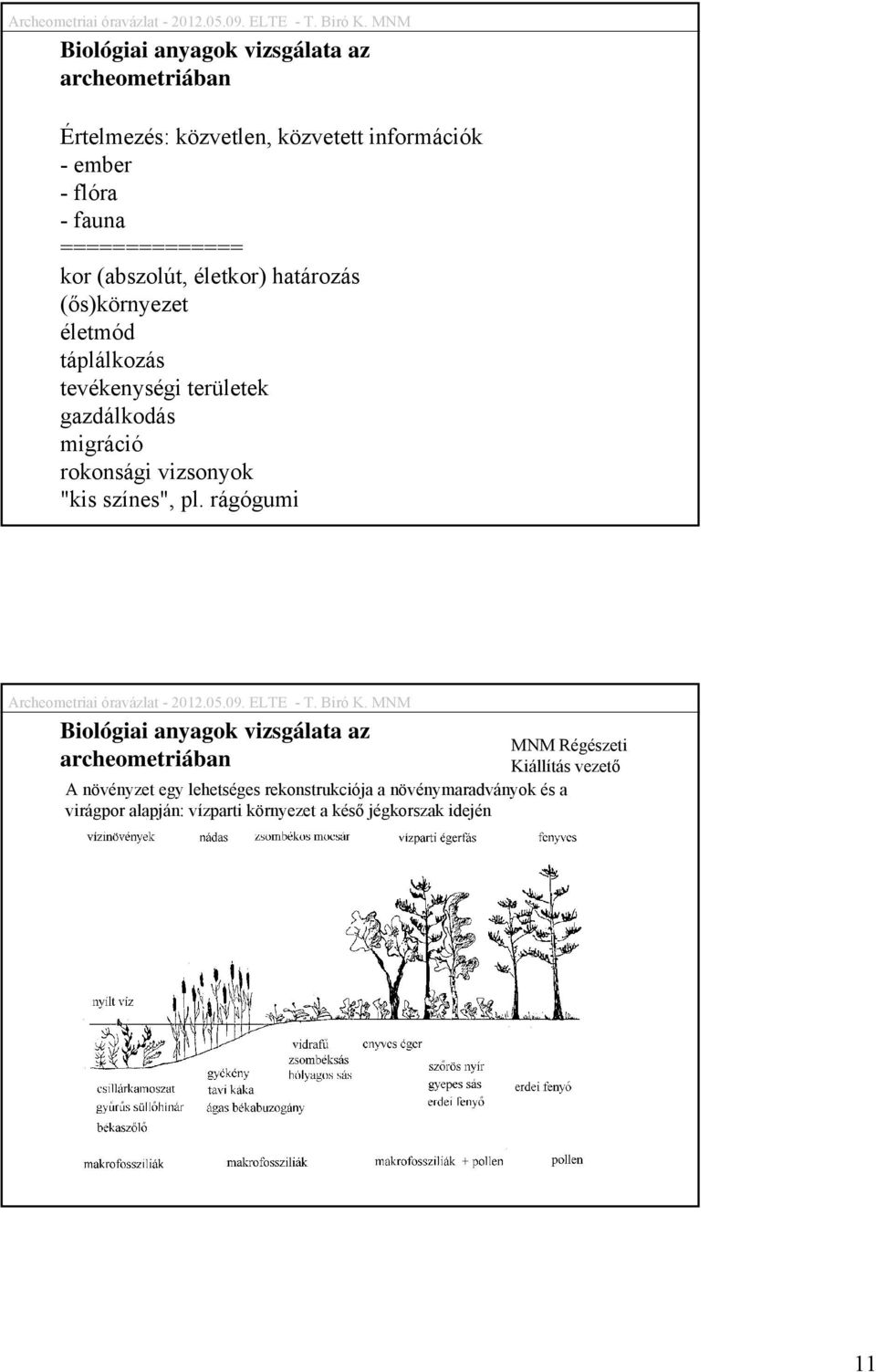 rokonsági vizsonyok "kis színes", pl.