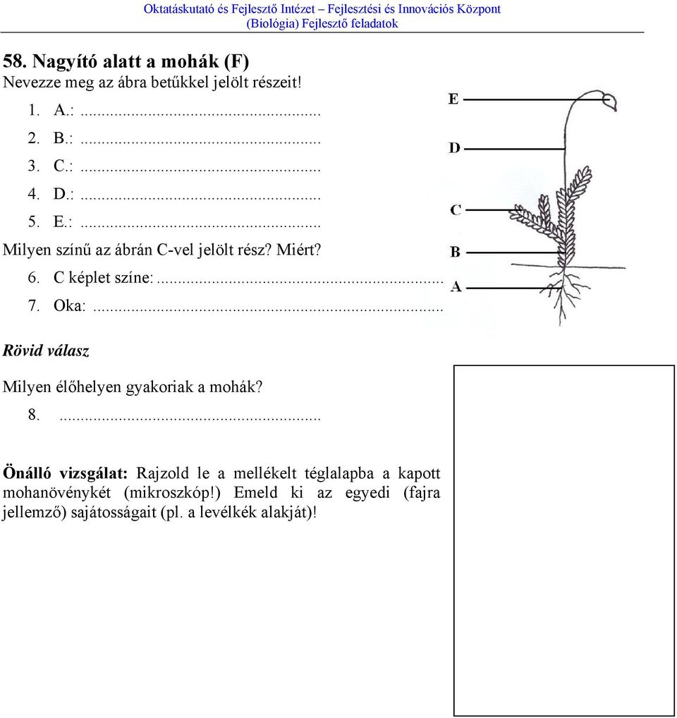 .. Rövid válasz Milyen élőhelyen gyakoriak a mohák? 8.