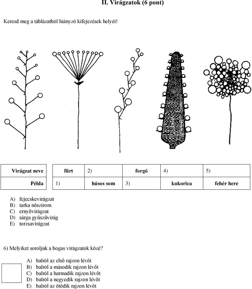 C) ernyővirágzat D) sárga gyűszűvirág E) torzsavirágzat 6) Melyiket soroljuk a bogas virágzatok közé?