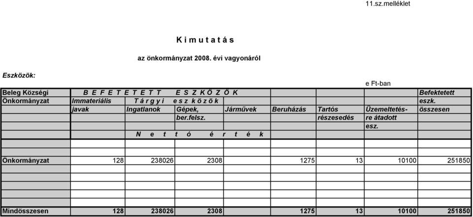 Immateriális T á r g y i e s z k ö z ö k eszk.