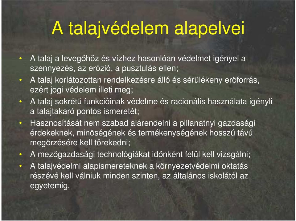 Hasznosítását nem szabad alárendelni a pillanatnyi gazdasági érdekeknek, minıségének és termékenységének hosszú távú megırzésére kell törekedni; A mezıgazdasági