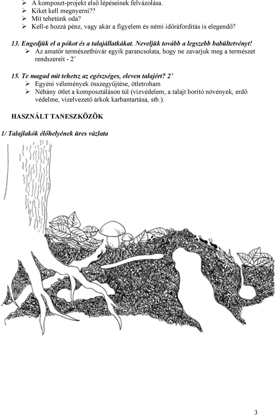 Neveljük tovább a legszebb babültetvényt! Az amatőr természetbúvár egyik parancsolata, hogy ne zavarjuk meg a természet rendszereit - 2 15.