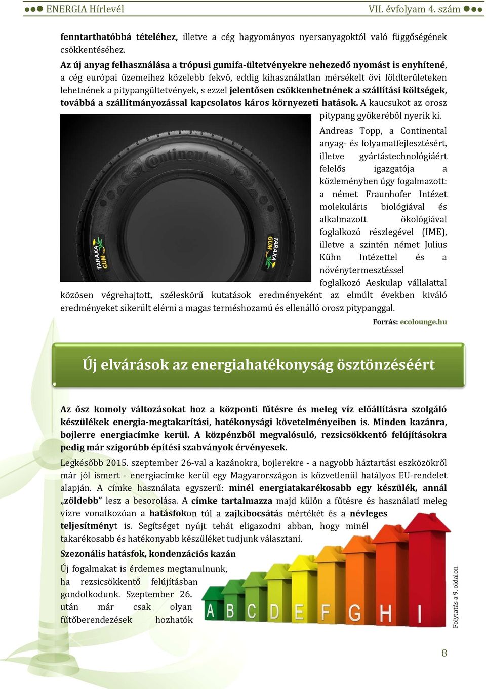 pitypangültetvények, s ezzel jelentősen csökkenhetnének a szállítási költségek, továbbá a szállítmányozással kapcsolatos káros környezeti hatások. A kaucsukot az orosz pitypang gyökeréből nyerik ki.