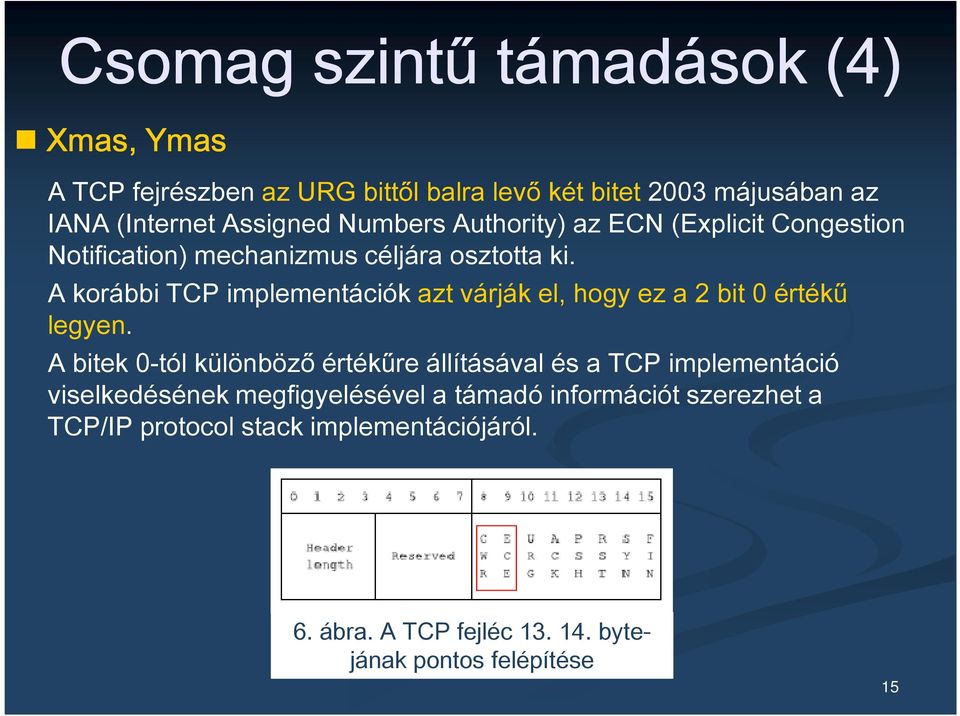 A korábbi TCP implementációk azt várják el, hogy ez a 2 bit 0 értékű legyen.