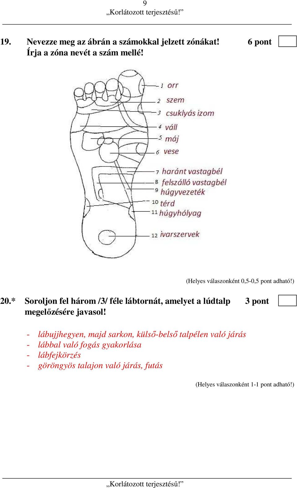 * Soroljon fel három /3/ féle lábtornát, amelyet a lúdtalp 3 pont megelőzésére javasol!