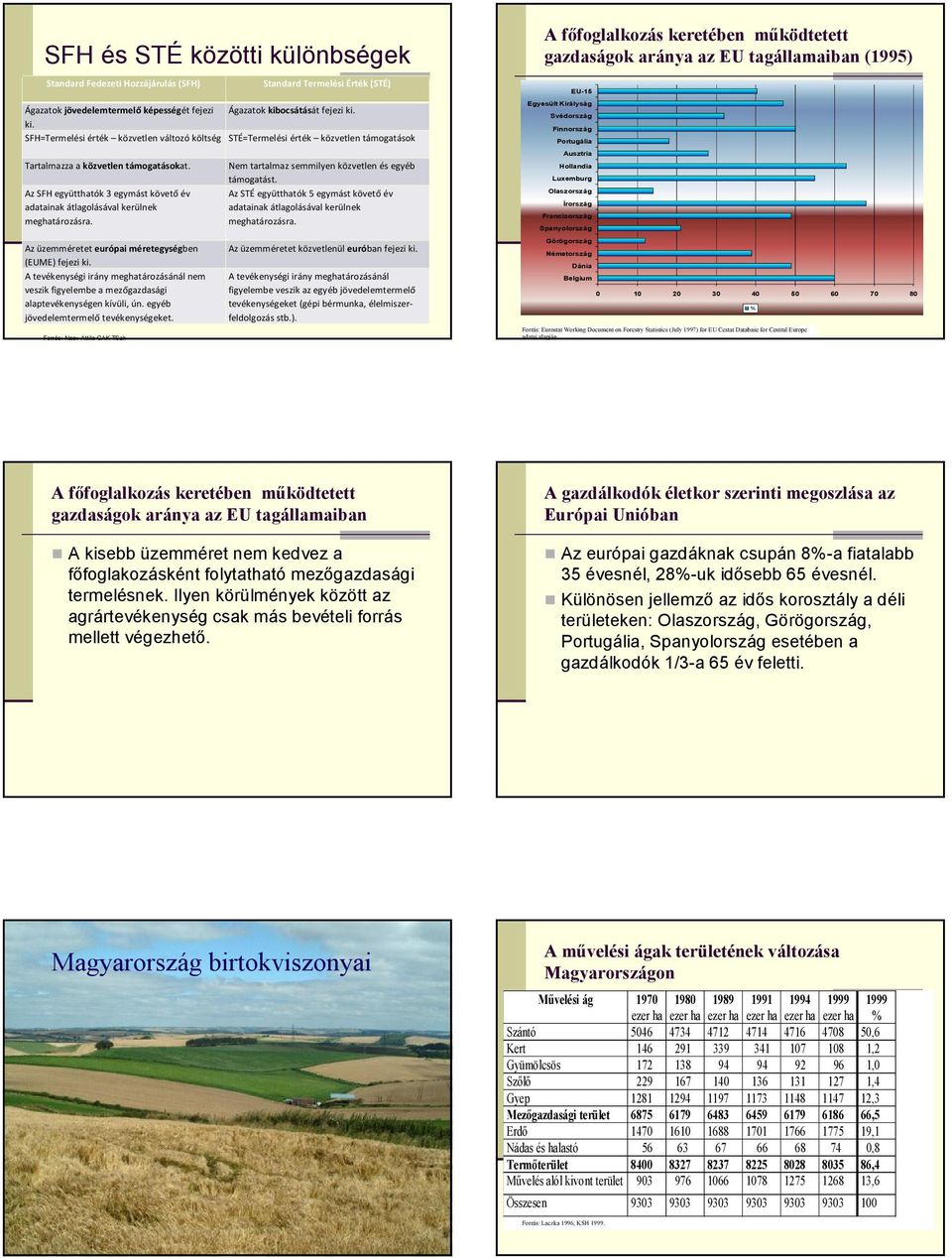 ki. SFH=Termelési érték közvetlen változó költség STÉ=Termelési érték közvetlen támogatások A főfoglalkozás keretében működtetett gazdaságok aránya az EU tagállamaiban (1995) EU-15 Egyesült Királyság