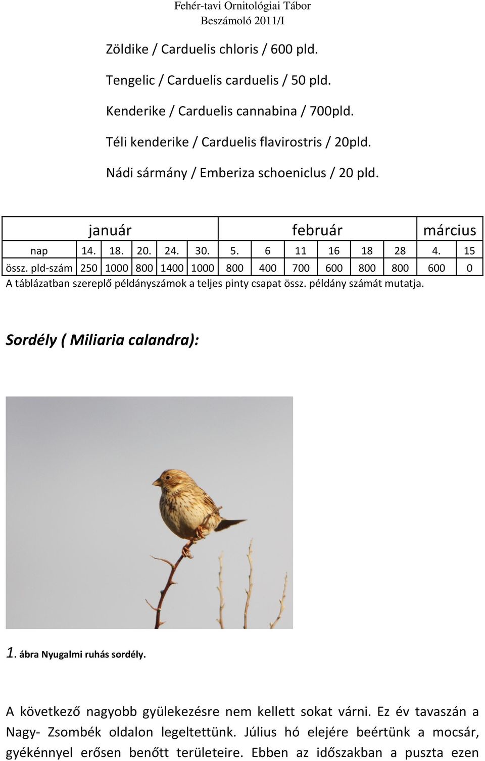 pld-szám 250 1000 800 1400 1000 800 400 700 600 800 800 600 0 A táblázatban szereplő példányszámok a teljes pinty csapat össz. példány számát mutatja.