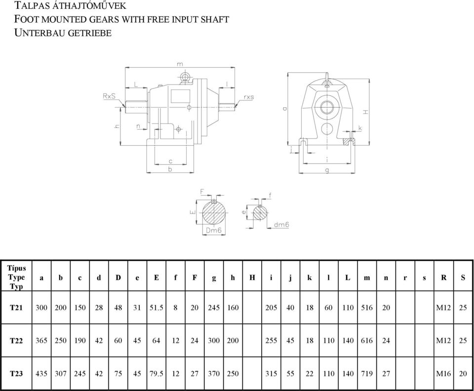 5 8 20 245 160 205 40 18 60 110 516 20 M12 25 T22 365 250 190 42 60 45 64 12 24 300