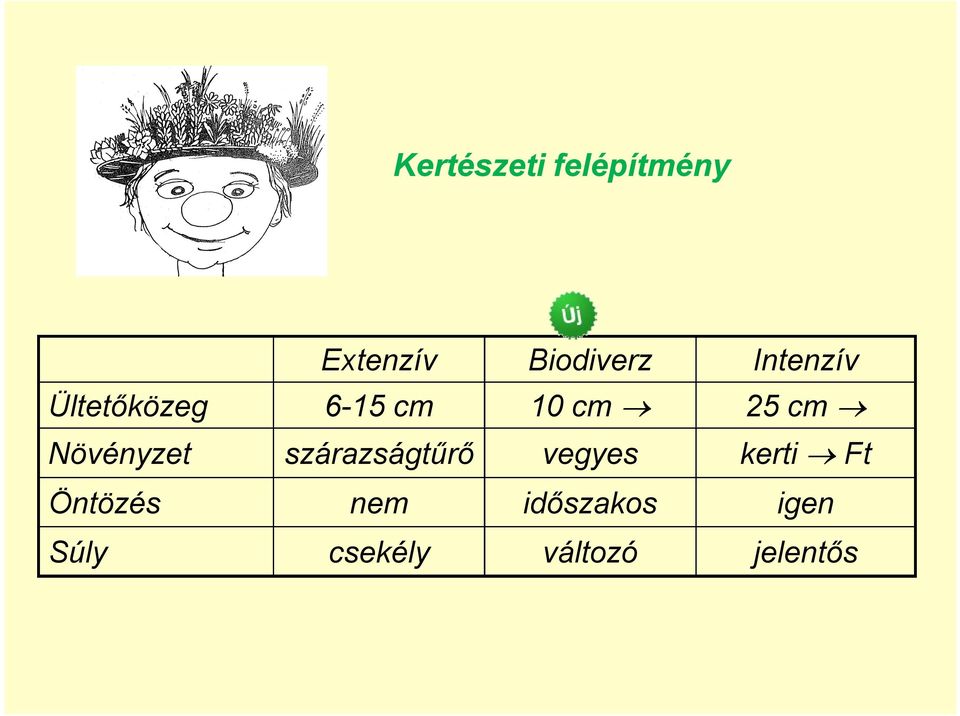 Növényzet szárazságtűrő vegyes kerti Ft