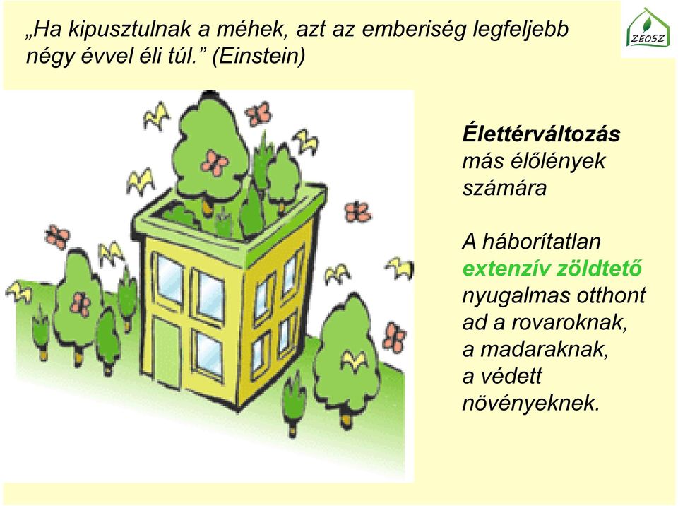 (Einstein) Élettérváltozás más élőlények számára A