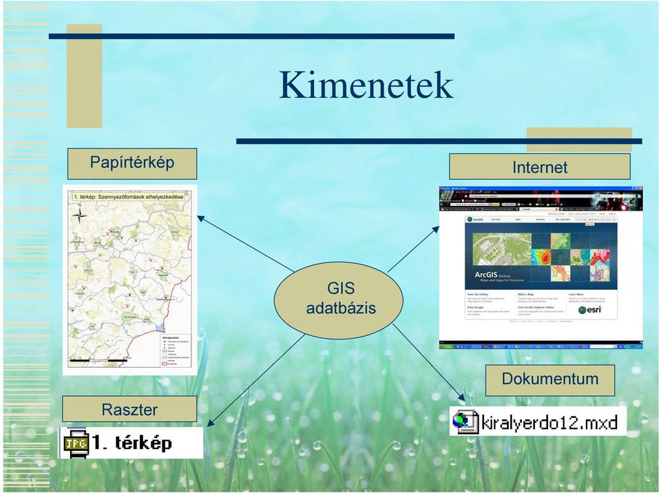 Internet GIS