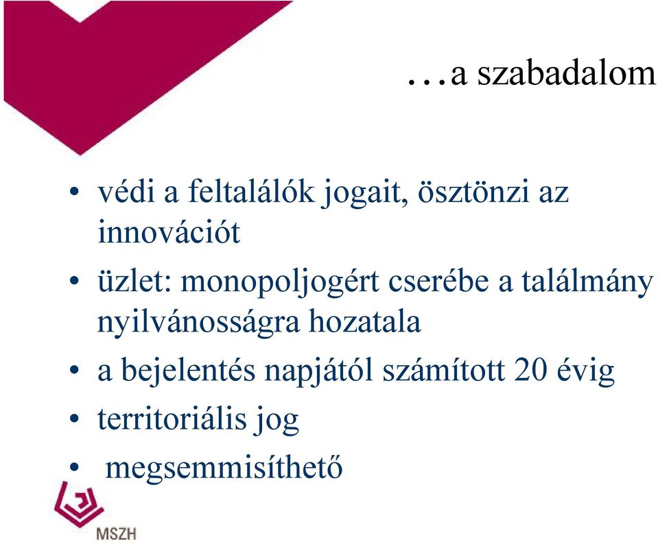 találmány nyilvánosságra hozatala a bejelentés