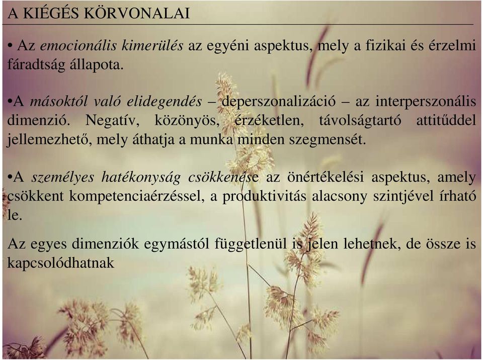 Negatív, közönyös, érzéketlen, távolságtartó attitűddel jellemezhető, mely áthatja a munka minden szegmensét.