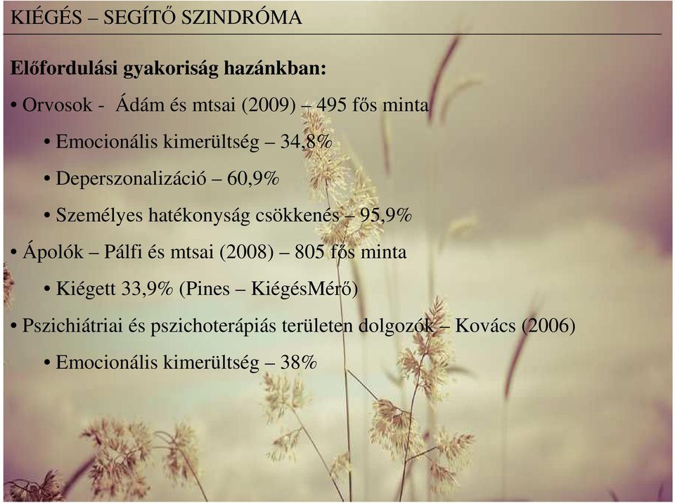 csökkenés 95,9% Ápolók Pálfi és mtsai (2008) 805 fős minta Kiégett 33,9% (Pines KiégésMérő)