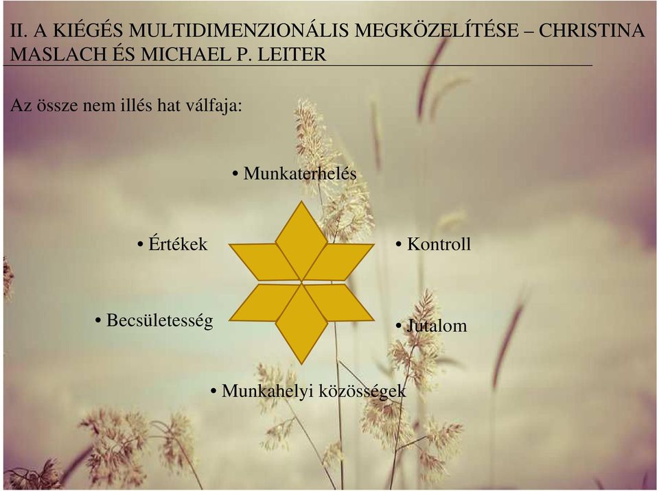 LEITER Az össze nem illés hat válfaja: