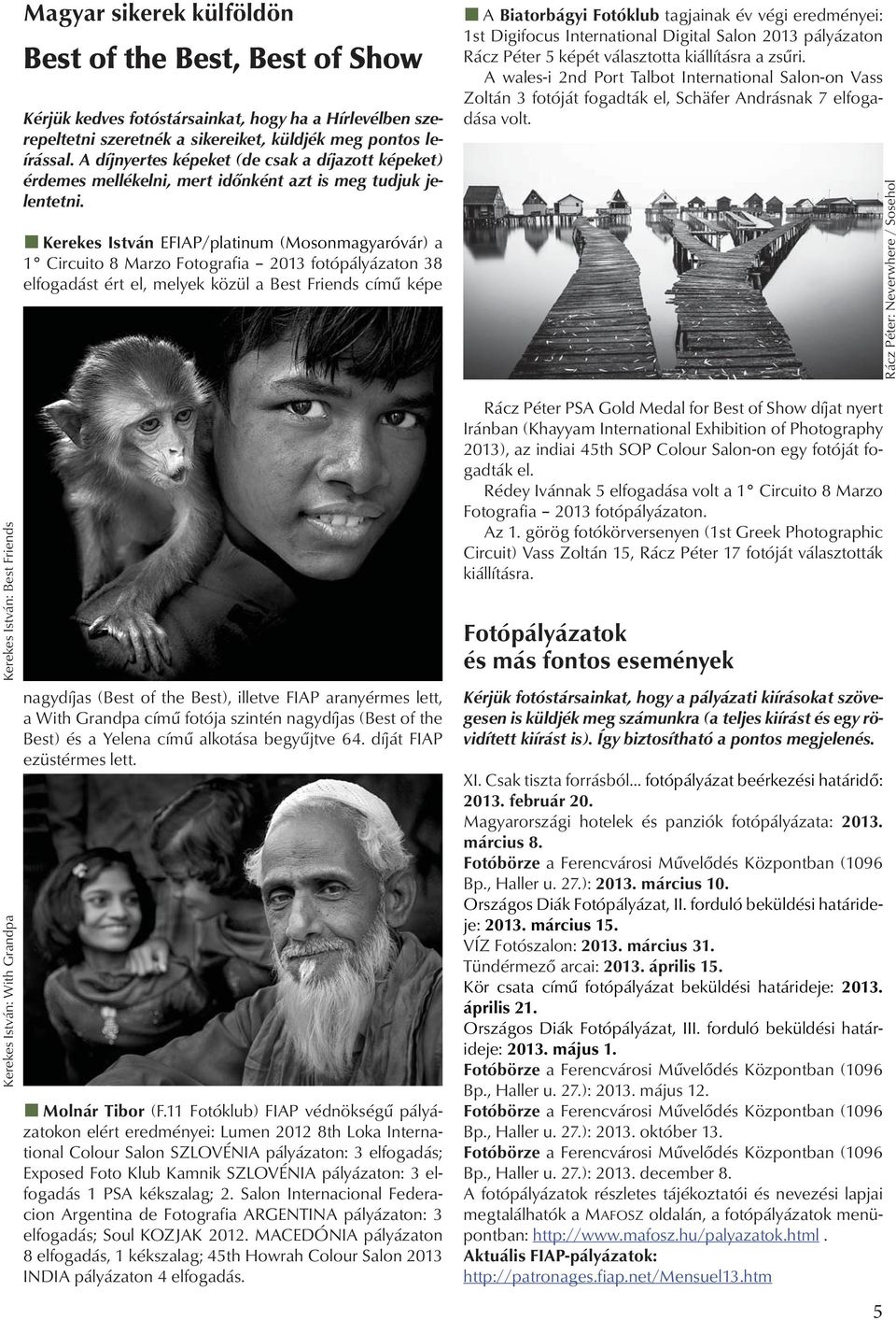Kerekes István EFIAP/platinum (Mosonmagyaróvár) a 1 Circuito 8 Marzo Fotografia 2013 fotópályázaton 38 elfogadást ért el, melyek közül a Best Friends című képe nagydíjas (Best of the Best), illetve