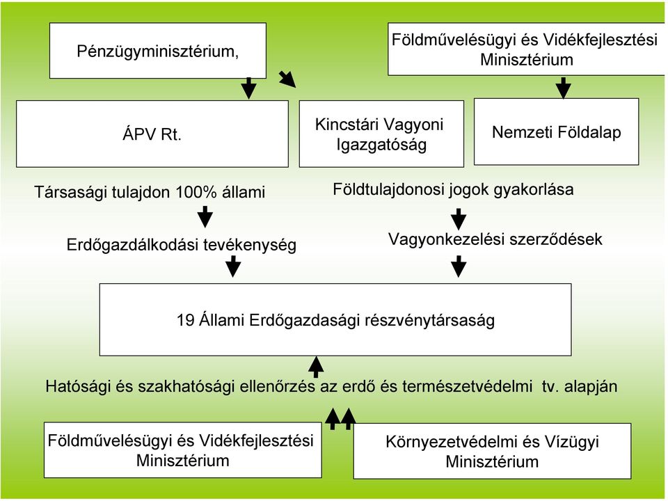 Erdőgazdálkodási tevékenység Vagyonkezelési szerződések 19 Állami Erdőgazdasági részvénytársaság Hatósági és