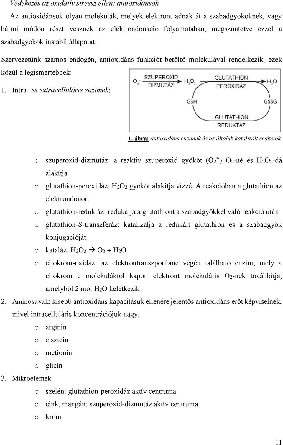Intra- és extracelluláris enzimek: 1.