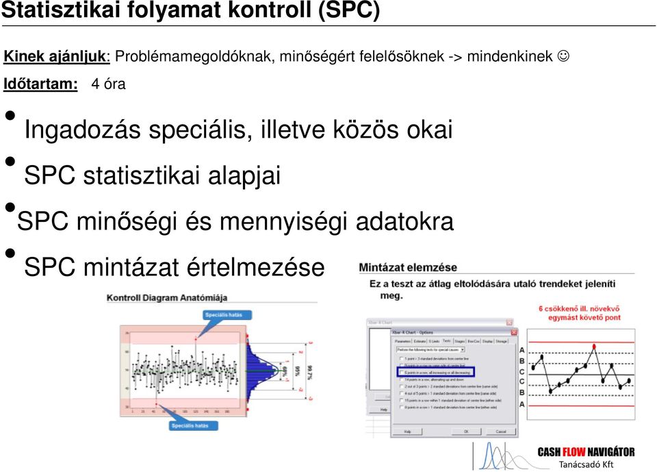 Időtartam: 4 óra Ingadozás speciális, illetve közös okai SPC