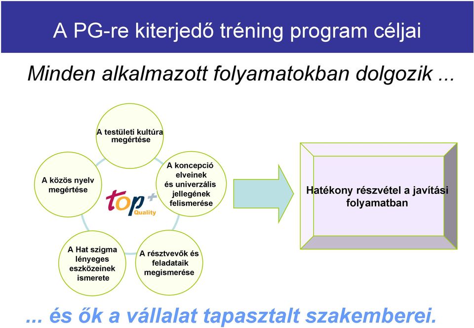 univerzális jellegének felismerése Hatékony részvétel a javítási folyamatban A Hat szigma
