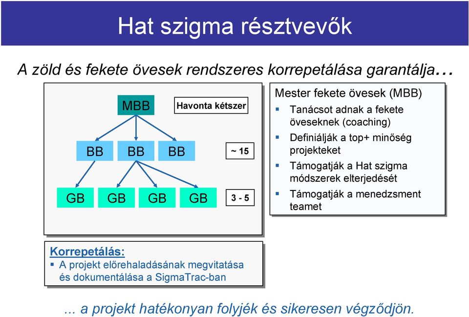 (coaching) Definiálják a top+ minőség projekteket Támogatják a Hat szigma módszerek elterjedését Támogatják a