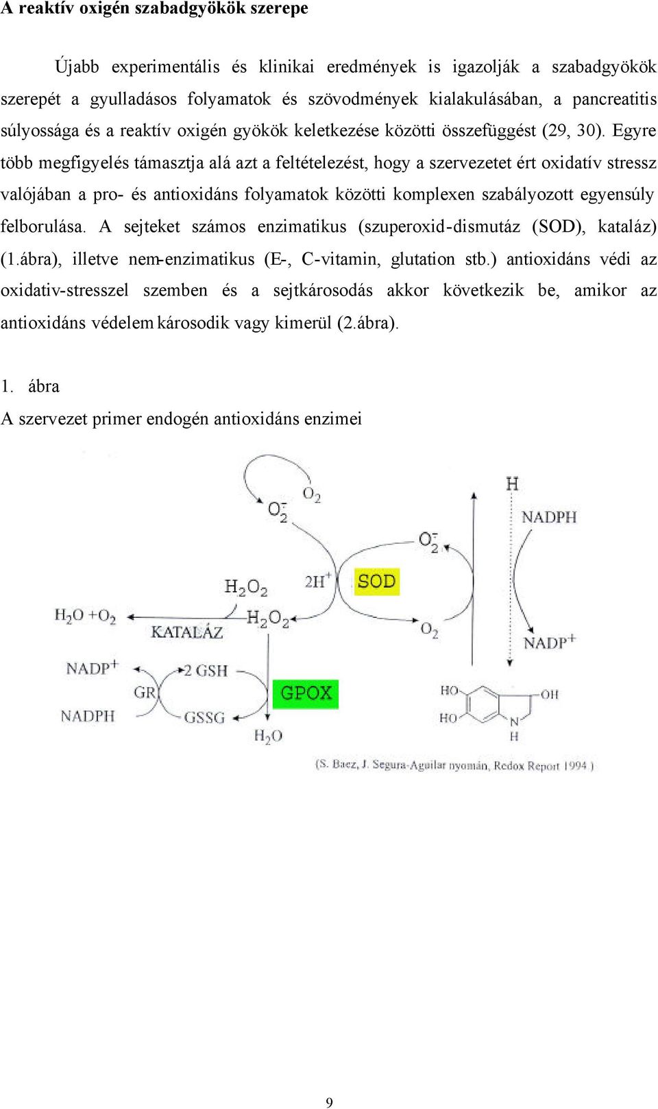 Egyre több megfigyelés támasztja alá azt a feltételezést, hogy a szervezetet ért oxidatív stressz valójában a pro- és antioxidáns folyamatok közötti komplexen szabályozott egyensúly felborulása.