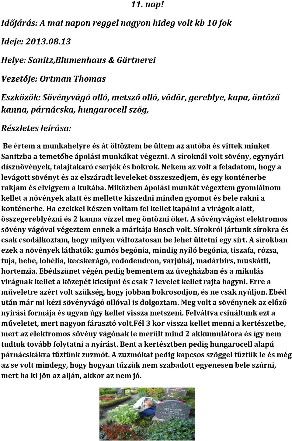 öltöztem be ültem az autóba és vittek minket Sanitzba a temetőbe ápolási munkákat végezni. A síroknál volt sövény, egynyári dísznövények, talajtakaró cserjék és bokrok.