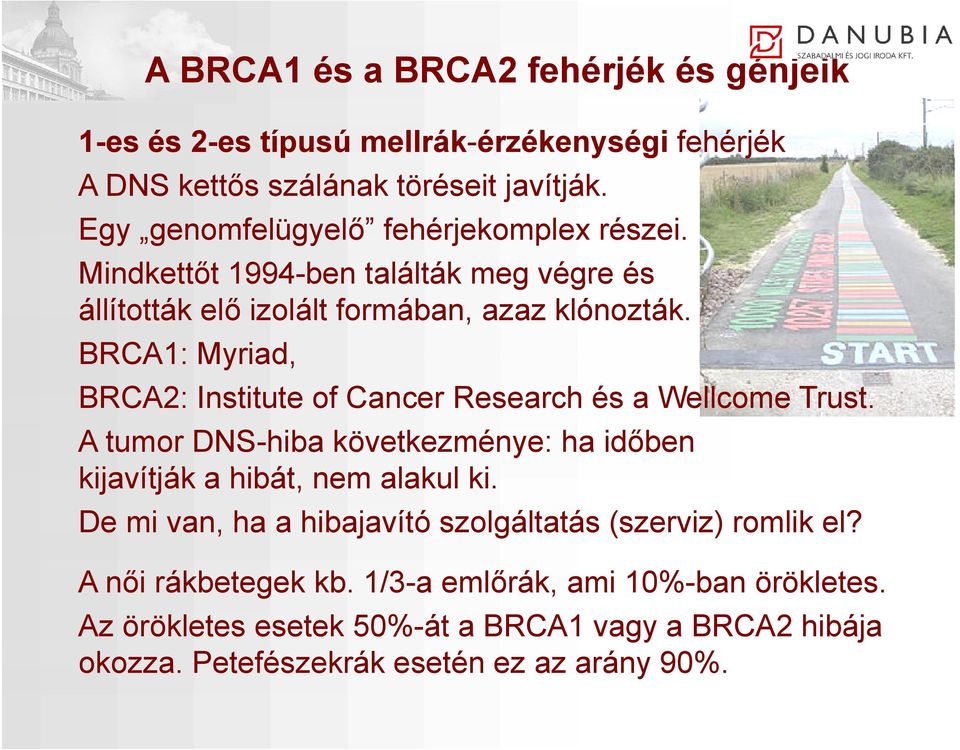 BRCA1: Myriad, BRCA2: Institute of Cancer Research és a Wellcome Trust. A tumor DNS-hiba következménye: ha időben kijavítják a hibát, nem alakul l ki.