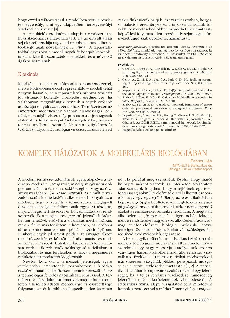 A tapasztalatokkal egyezôen a modell-sejtek felbontják kapcsolataikat a kiterült szomszédos sejtekkel, és a növekvô ágakba áramlanak.